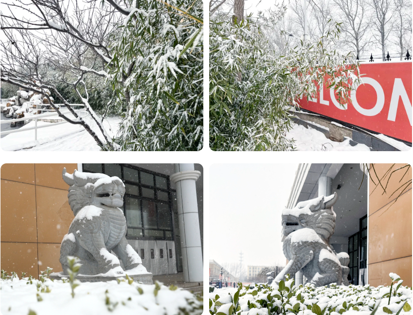 1702532919460 1702532919460